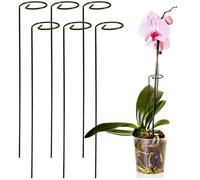 LIGHTAOTAO Piquets de Support en Métal Vert Résistant Lot de 6 Guide la Croissance des Plantes pour Plantes Grimpantes et Tiges pour Usage Extérieur Jardin
