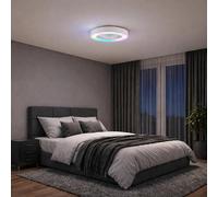 Lightbox LED-Deckenleuchte mit Ventilator, Ø 49 cm, IC-RGB, 4700 Lumen, 2700-6500 Kelvin, dimmbar, CCT, Vorwärts- u. Rückwärtslauf für Sommer u. Winter, Timer, Nachtlicht, weiß, schlichtes Design