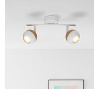 Lightbox Spot de plafond à LED avec lumière blanche chaude - tube spot à 2 | Spot de plafond à LED avec lumière blanche chaude - têtes pivotantes - métal