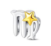 LIGHTDOG 925 Argent Sterling Bracelet Charms 12 Signes du Zodiaque Charms Pour Bracelets Européens et Colliers de Bracelets Pandora Cadeaux pour Femmes