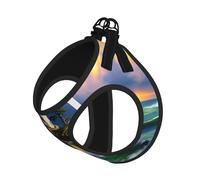 Lighthouse Harnais d'été pour chien avec laisse réglable et réfléchissant Motif peinture diamant
