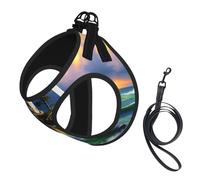 Lighthouse Harnais d'été pour chien avec laisse réglable et réfléchissant Motif peinture diamant