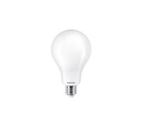 Philips Ampoule dépolie à filament 200 W A95 E27