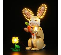 Lighting Set pour Lego Creator 31162 3-in-1 Cute Bunny Model, LED Lighting Set Compatible with Lego Cute Bunny 31162 (Lights Only, Not Models)