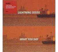 Lightning Seeds - What You Say Pt.1