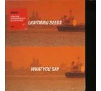 Lightning Seeds - What You Say Pt.2