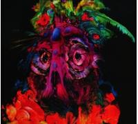 Lights from Paradise by Quest for Fire [CD] NEUF