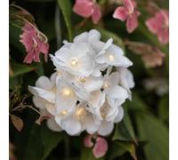 Lights4fun Guirlande Lumineuse Solaire à Fleurs Blanches Artificielles Rechargeable par USB pour l'Extérieur Jardin Décoration