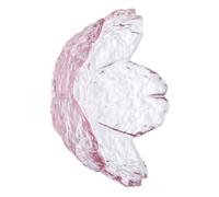 LIGIGWASH 2 pièces Assiette Japonaise Verre Martelé Petite Coupelle Transparente pour Sauce et Condiments Design Fleurs de Cerisier à Cinq Pétales Fendue Vaisselle Polyvalente pour Table et