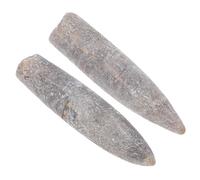 LIGIGWASH 2 Pièces Spécimens Bélemnite Naturels pour Éducation Géologie Paléontologie Décoration et Collection Scientifique