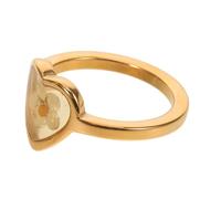 LIGIGWASH Bague Cœur Fleur Séchée Plaqué Or 18k Acier Inoxydable Fait Main Femme Usage Quotidien Taille Unique