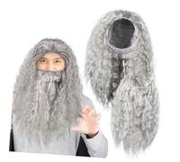 LIGIGWASH Perruque et Fausses Moustaches Grises Longues de Sorcier Ensemble Costume Halloween Cosplay Accessoire pour Fête