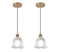 LIGKIN Lot de 2 Suspension Luminaire Vintage Industrielle E27 Lustre à Fleurs Créatif Abat-jour en Verre Luminaire Plafonnier Déco pour Cuisine Salle à Manger Couloir