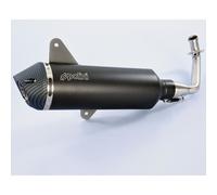 Ligne Complète Polini Inox/Carbone - Vespa 300