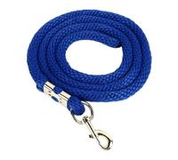 Ligne de Longe pour Cheval avec Mousqueton, Corde d’entraînement pour Cheval résistante et à Haute résistance, Ligne de Longe en Sangle de 2 m pour l’entraînement, Les compétitions (Bleue)