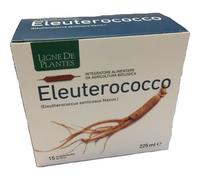Ligne de Plantes Eleuthérocoque Bio 15x15ml