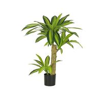 LIGNE DÉCO - Dracena Artificiel - Décoratif - Élégant - Tendance Déco - Durable - Entretien Facile - Plante Artificielle Intérieur - Plastique - 80cm