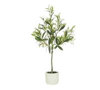 Ligne Déco - Olivier Artificiel 70cm | Plante Artificielle Haut de Gamme Pot en Ciment Moucheté Interieur Imitation Terre | Decoration Maison Élégante et Réaliste | Fausse Plante Interieur Chic