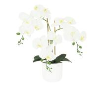 Ligne Déco - Orchidée Artificielle 52cm | Pot Plastique Blanc Intérieur Imitation Terre