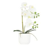 Ligne Déco - Orchidée Artificielle Blanche 40cm | Pot Plastique Blanc