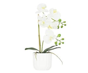 Ligne Déco - Orchidée Artificielle Blanche 40cm | Pot Plastique Blanc