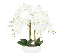 Ligne Déco - Orchidée Artificielle Blanche 55cm | Plante Artificielle Haut de Gamme avec Pot Céramique | Decoration Maison Élégante et Réaliste | Fausse Fleur Orchidée Intérieur Chic