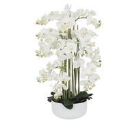 Ligne Déco - Orchidée Artificielle Blanche 80cm | Plante Artificielle Haut de Gamme avec Pot Céramique | Decoration Maison Élégante et Réaliste | Fausse Fleur Orchidée Intérieur Chic