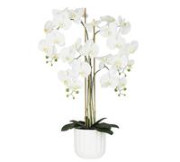 Ligne Déco Orchidée Artificielle Toucher Naturel 100cm