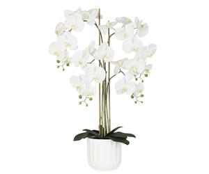 Ligne Déco Orchidée Artificielle Toucher Naturel 100cm