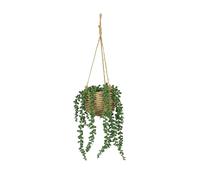 Ligne Déco - Plante Succulente Retombante Artificielle - Décoratif - Élégant - Tendance Déco - Durable - Entretien Facile - Plante Artificielle Intérieur - Plastique - 60cm