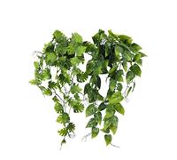 Ligne Déco - Plante Succulente Retombante Artificielle - Lot de 2 - Décoratif - Élégant - Tendance Déco - Durable - Entretien Facile - Plante Artificielle Intérieur - Plastique - 50cm