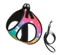 Lignes colorées et étoile Amusante,Harnais pour Animaux de Compagnie, Harnais réfléchissant réglable pour Chien,L