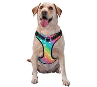 Lignes colorées et étoile Amusante,Harnais pour Animaux de Compagnie, Harnais réfléchissant réglable pour Chien,XL