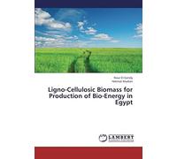 Ligno-Cellulosic Biomass For Production Of Bio-Energy In Egypt