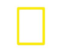 LIGSLN Lot de 10 porte-cartes anti-rayures avec revêtement résistant au soleil et bords pour cartes de sport à collectionner en PVC transparent