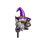 LIGSLN Panneau de sorcière coloré en acrylique pour Halloween, décoration polyvalente pour la maison, les festivals, les vacances, les fêtes, la cour