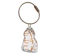 LIGSLN Porte-clés en acrylique pour recueillir les poils de chat et de chien, bouteille de rangement pour poils d'animaux de compagnie avec corde, cadeau commémoratif mignon pour animal domestique