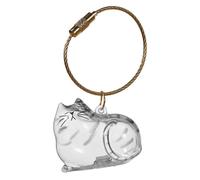 LIGSLN Porte-clés en acrylique pour recueillir les poils de chat et de chien, bouteille de rangement pour poils d'animaux de compagnie avec corde, cadeau commémoratif mignon pour animal domestique