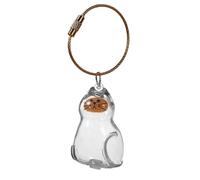 LIGSLN Porte-clés en acrylique pour recueillir les poils de chat et de chien, bouteille de rangement pour poils d'animaux de compagnie avec corde, cadeau commémoratif mignon pour animal domestique