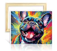 LiHEQING Kits de peinture à l'huile par numéros bouledogue français adultes débutants kits de peinture à l'huile aquarelle photos pour décoration murale sans cadre (30x40 cm)