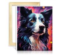LiHEQING Peinture sur toile Kit de peinture à l'huile border collie décoration bricolage peinture Style créatif artisanat sans cadre (30x40 cm)