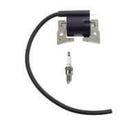 LiiZZi Bobine d'allumage et Bougie for Club Car DS Cart (1992-1996) FE290 FE350 LV16492 LV1016492 EPIGC101 5132 1016492