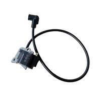 LiiZZi Bobine d'allumage for souffleuse à Neige à Dos BBX7600 75,6 cm³, Moteur 4 Temps, 195 mi/h, 597-70010-10 5977001010