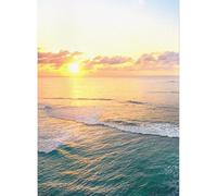 Lijiaxiuyc-101 Film pour fenêtre Autocollant adhésif de décoration de mer d'autocollant en Verre dépoli d'intimité de Film de fenêtre for Le décor à la Maison Film occultant pour fenêtre(70x200cm)