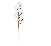 LIJUCAI 10 têtes de Fleurs de Coton naturellement séchées Plantes artificielles Branche Florale pour la décoration de fête de Mariage Fausses Fleurs décor à la Maison, 1 pc 10 têtes