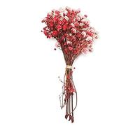 LIJUCAI Mini Bouquet de Fleurs séchées décoratives Les Plantes Naturelles préservent Les Fleurs pour la décoration de la Maison de Mariage, Rouge