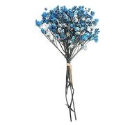LIJUCAI Mini Bouquet Fleurs Fleurs Séchées Décoratives Les Plantes Naturelles Préservent Floral pour La Décoration De La Maison De Mariage, Bleu Royal