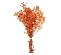 LIJUCAI Mini Bouquet Fleurs Fleurs séchées décoratives Les Plantes Naturelles préservent Floral pour la décoration de la Maison de Mariage, Orange