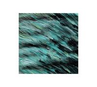 Like Elephants – Better Days – Vinyle – Broken Silence