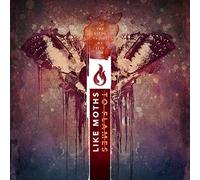 Like Moths to Flames - Dying Things We Live for [Import]